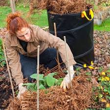 Choisir Le Bon Paillis Pour Couvrir Le Sol Du Jardin Paillage Potager Paillis Jardins