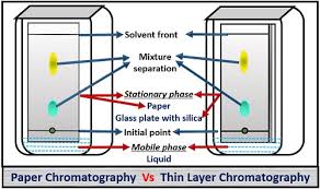 Difference Between Paper And Thin Layer Chromatography With Comparison Chart Biology Reader