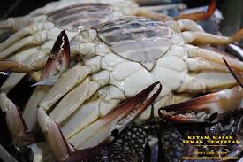We did not find results for: Amie S Little Kitchen Ketam Masak Lemak Tempoyak