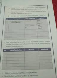 We did not find results for: Kelompok Jenis Tumbuhan Dengan Ciri Ciri Nya Seperti Daun Batang Dan Akar Brainly Co Id