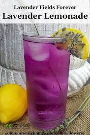 Lavender Lemonade Recipe Included In This Informational Post On Edible Flowers Whether You Re Nib Edible Flowers Recipes Edible Flowers List Of Edible Flowers