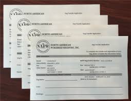 All american dog registry international, llc, glen alpine, north carolina. Litter Registration