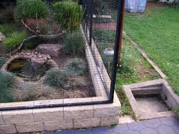 Will 36 S Image Bird Aviary Aviary Bird Cages