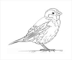 There, your children will see many kinds of birds that will be able to enrich their knowledge. Free 20 Bird Coloring Pages In Ai
