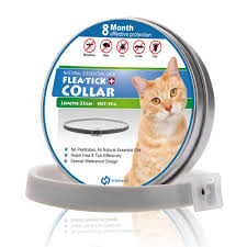 Knowing how to choose them can be tricky. Scirokko Cat Flea Collar With Natural Essential Oils Flea And Tick Treatment For Kittens Cats 8 Months Protection 33cm Buy Online In India At Desertcart In Productid 115817327