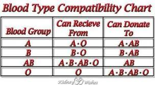 Blood Type Compatibility Chart Provided You Know Everyones