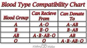 blood type compatibility chart provided you know everyones