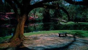 Walk through miami's most gorgeous garden at night and find it brought to life with stunning illumination, spectacular special effects, and unbelievable surprises for the whole family. Good Housekeeping Hearst Night Garden Tactile Imagery Beautiful