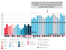 56 Prototypal Bbt Chart Celsius Example