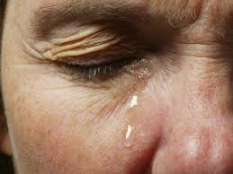 Why is my dog crying tears. Why Do We Cry The Science Of Tears The Independent The Independent