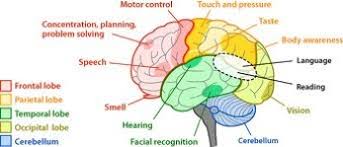 Cerebral Palsy Introduction Physiopedia