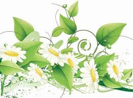 We did not find results for: Elegant Floral Vector Background Free Vector Eps File Free Vectors Free Download Vector Graphic Art