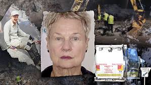 One year on, Lesley Trotter's disappearance has left those closest to her  without answers or closure