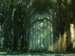 Fantasy Forest Wallpapers Hd For Desktop Backgrounds Download hd wallpapers for free on unsplash. fantasy forest wallpapers hd for