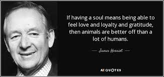 James Herriot Quote If Having A Soul Means Being Able To Feel Love