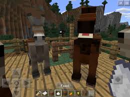 And also, i think that you can only get sugarcubes in a mod. More Than You Ll Ever Need To Know About Horses In Minecraft Pocket Edition 0 15 Articles Pocket Gamer