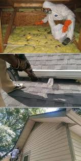 3095 cherokee st kennesaw, georgia. 45 Best Pest Control In Atlanta Ideas Pest Control Services Pest Control Pests