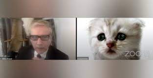 'i'm here live, i'm not a cat'. I M Not A Cat Zoom Filter Turns Lawyer Into Cat During Video Meeting Venture