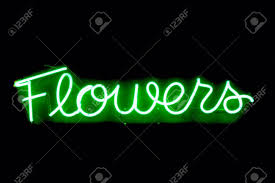 Shoaling, keep in groups larger. Green Flowers Neon Sign Stock Photo Picture And Royalty Free Image Image 599835