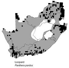 Die ukraine ersetzt korrupte polizisten durch amateure. Distribution Of The Leopard In South Africa The Black Blocks Show Download Scientific Diagram