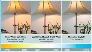 Next time you get a swirl light bulb, look at the side of the bulb where it shows what size it is. Energy Efficient Lighting Citizens Utility Board