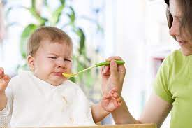 Que Hacer Si Mi Bebe No Quiere Comer Papilla 8 Claves
