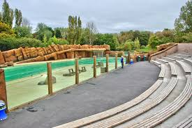 What sets blackpool zoo apart from other zoos? Blackpool Zoo Original 28469 Jpg Thousand Wonders