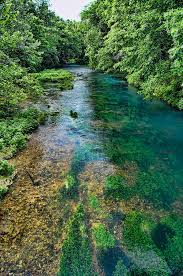 Image result for "Alley Spring"