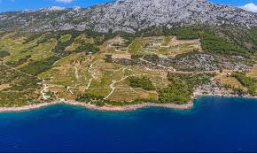 The slender fingerlike peninsula of pelješac is coastal croatia at its most relaxed. The Peljesac Peninsula A Green Finger Stretching Out Into The Adriatic The Dubrovnik Times