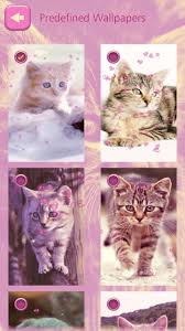 Wallpaper anak kucing inggris keren kebohongan 4272x2828. Wallpaper Lucu Gambar Kucing Comel 81021 Nama Untuk Kucing Comel Lucu Dan Unik