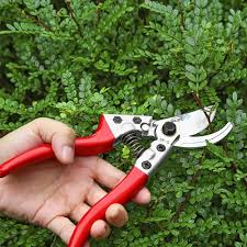 Ipstyle Professional Pruning Shears Sk5 Steel Blade Garden Shears Premium Utility Garden Clippers Scissorstree Tri Garden Clippers Garden Shears Pruning Shears