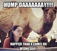 But that hump didn't originate in the desert, but rather in the arctic. 170 Wednesday Coffee Ideas Wednesday Coffee Wednesday Hump Day Wednesday Quotes