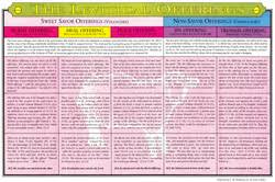 Chart Bible Translations Comparison Laminated
