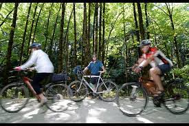 Safe Bike Routes Near Me A Few Safe Cycling Routes Do Exist In Burnaby. These Are Some Of Them -  Burnaby Now