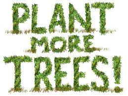 Let S Plant A Tree Trees To Plant Plants Save Trees