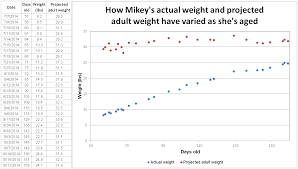 How Big Will My Puppy Get Use A Dog Weight Chart To Fnd Out