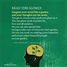 Imagine Your Mind Like A Garden