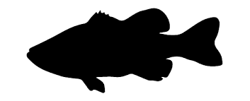Fish Silhouette Transparent Background 15 Free Hq Online Puzzle Games On Newcastlebeach 2020 Ornamental curly swirls background | designed by vexels.com. fish silhouette transparent background