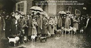 gorozhane priveli svoih sobak na usyplenie tak kak oni ne v sostoyanii platit uvelichennyj nalog na domashnih pitomcev vejmarskaya respub dogs berlin bring it on