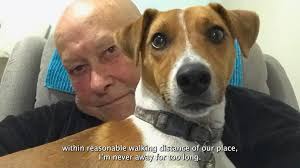 A week in the life at Peninsula Health