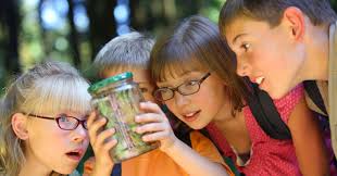 5 Ways Outdoor Learning Optimizes Children's Well-Being