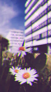 Phone wallpapers 4k | high quality best wallpapers for phones. The Ultimate Collection Of Aesthetic Phone Wallpapers Iphone Android Lu Amaral Studio