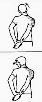 Pin On Exercise Made Easy Seniors Disorders Disabilities