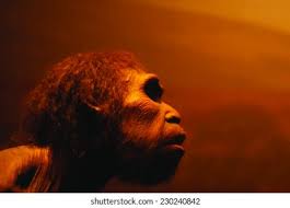 Neanderthal Images, Stock Photos & Vectors | Shutterstock