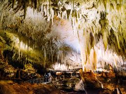 We did not find results for: Jewel Cave Augusta Your Margaret River Region