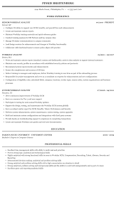 workday analyst resume sample mintresume