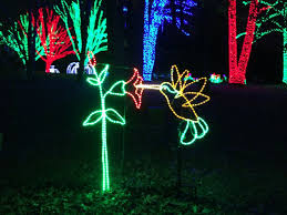 Meadowlark Gardens Winter Walk Of Lights Holiday Fun In Northern Va Winter Walk Winter Garden Winter