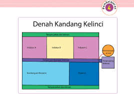 Soal Denah Kelas 5 Sd Dan Kunci Jawaban Ilmusosial Id