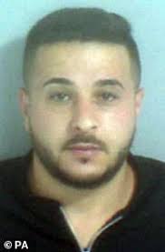 Romanian people smugglers hid eight Afghan migrants in hidden van  compartment