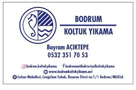 bodrum koltuk yikama firmaci com